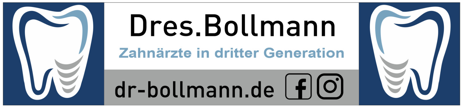 Bollmann 2025